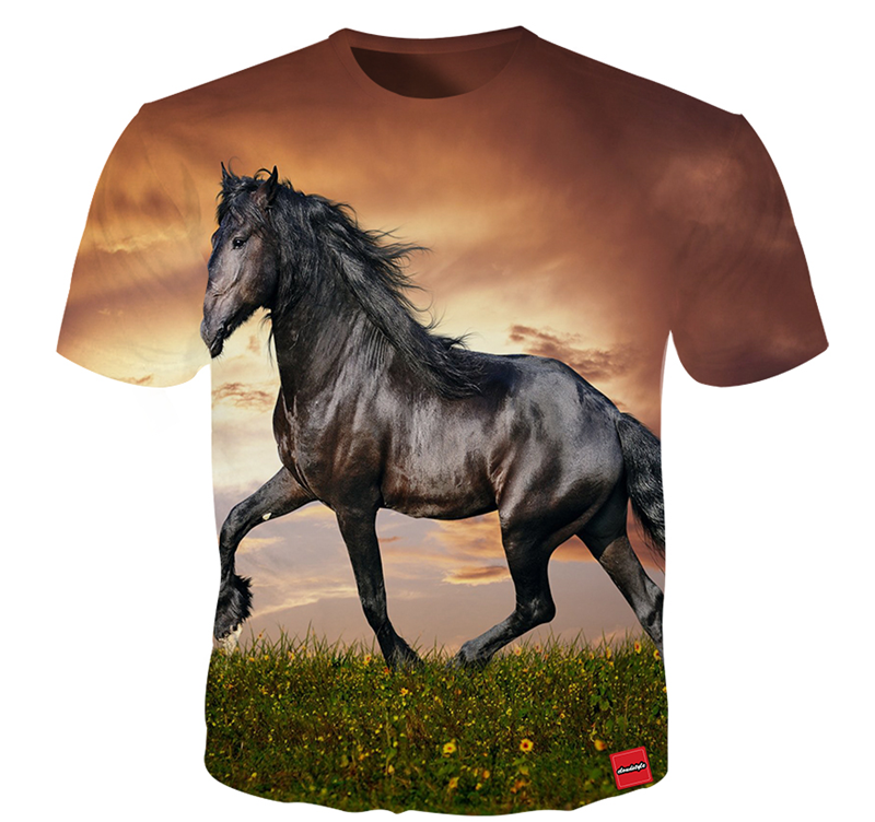 Maglietta equitazione cotone maniche corte - NonsoloCavallo | Selleria  online, negozio per cavalli e articoli equitazione
