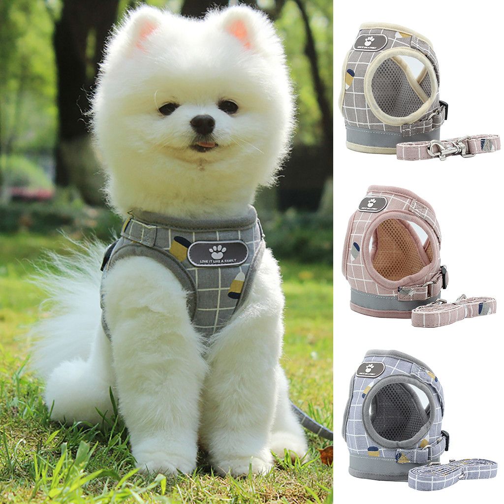 small dog chest harness