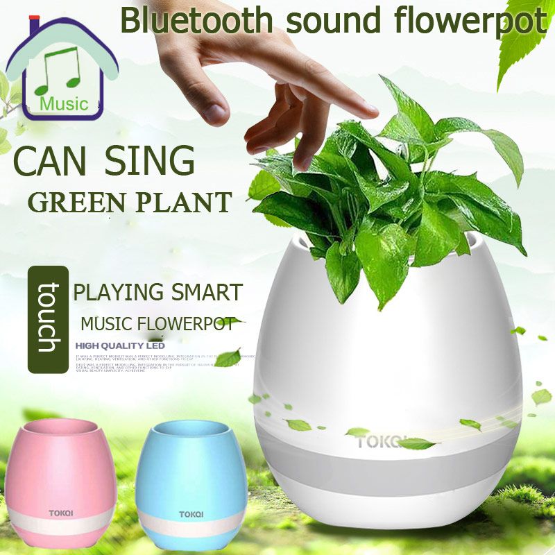 music flower pot