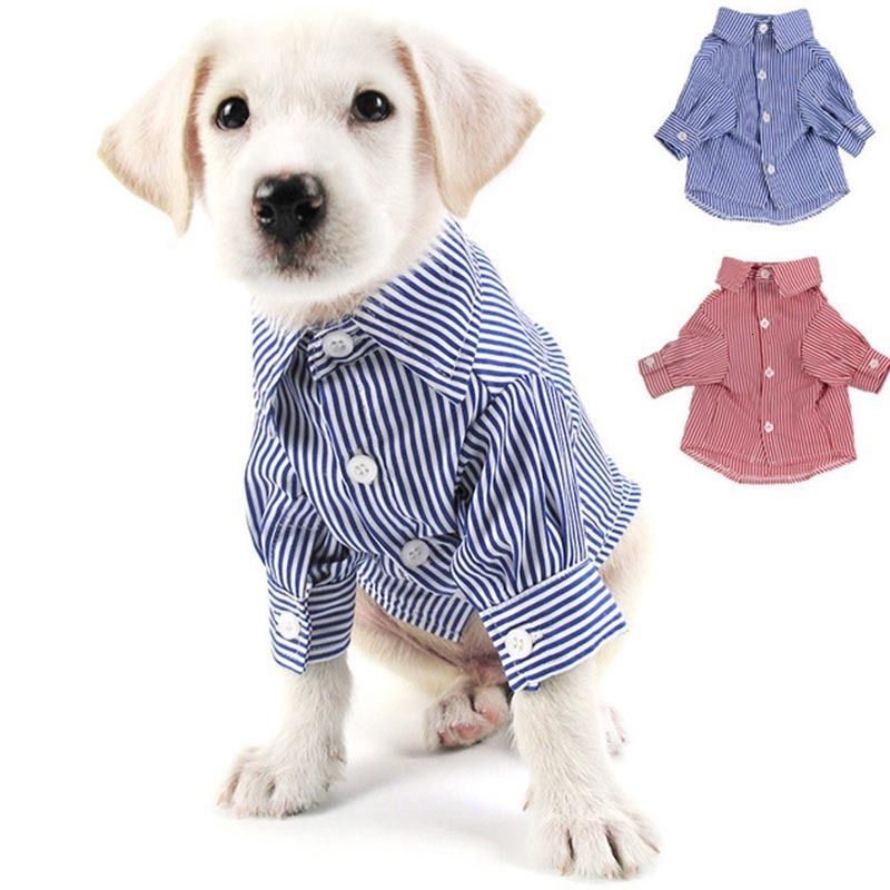 high quality dog clothes