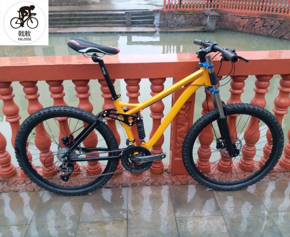 17 inch bike frame