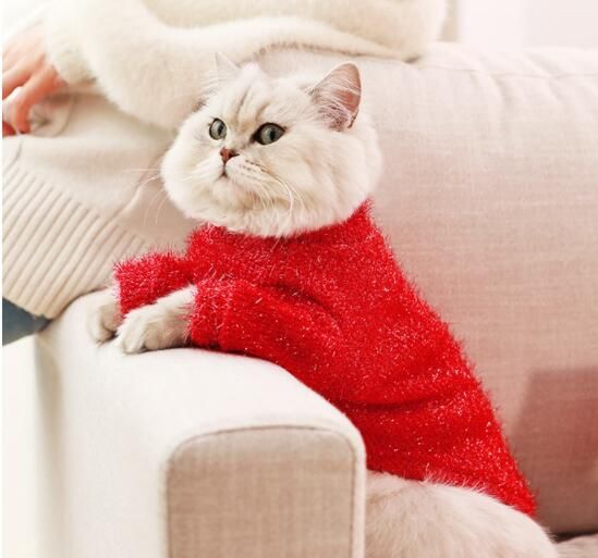 Red,Cat Clothes,Cute Female Care 