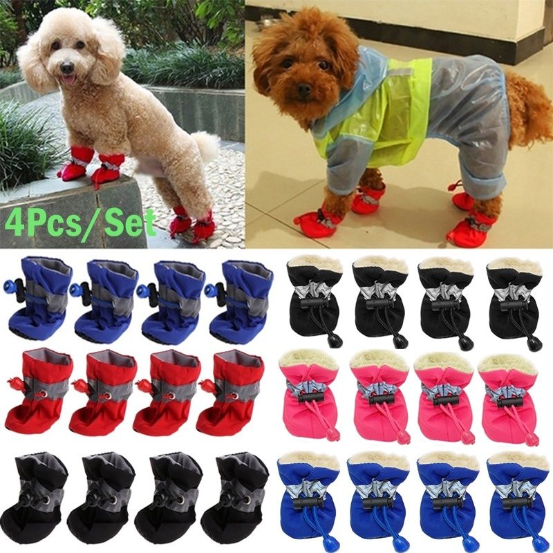 pet shoes