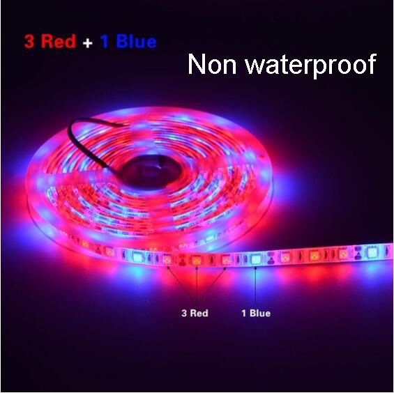 3red:1blue/Non Waterproof