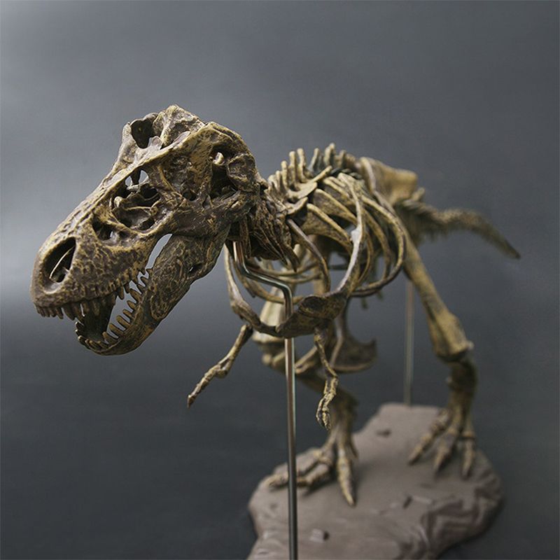 tyrannosaurus skeleton model
