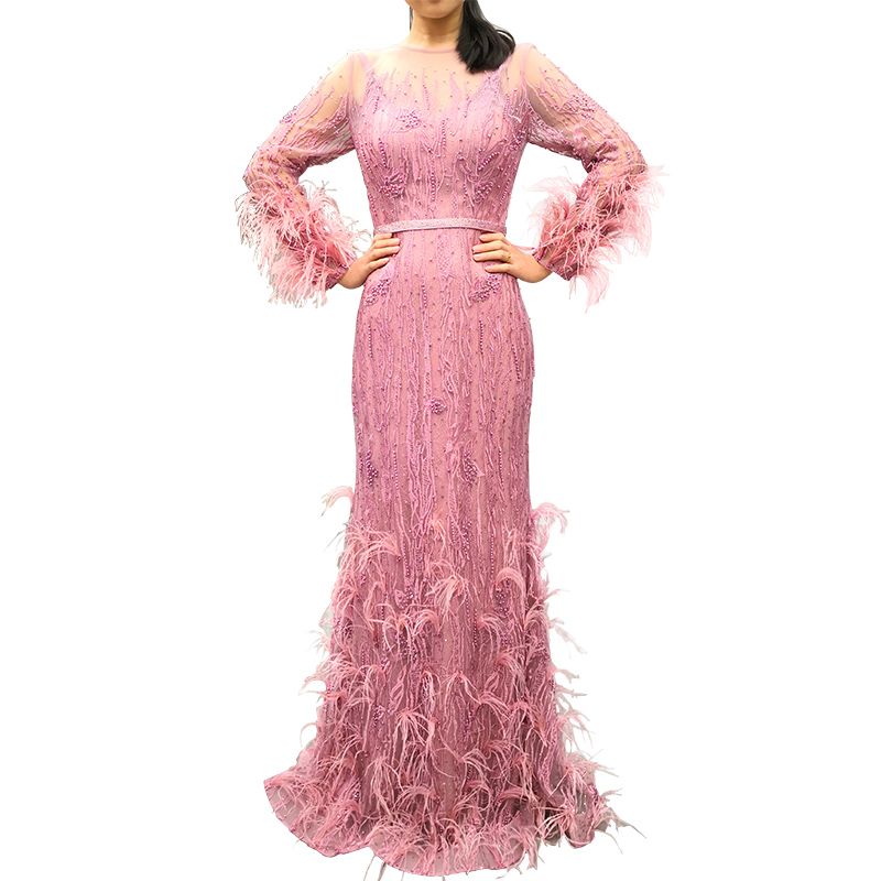 Gorgeous Pink Feather Evening Dresses 2019 Jewel Neck Back Long Sleeve ...