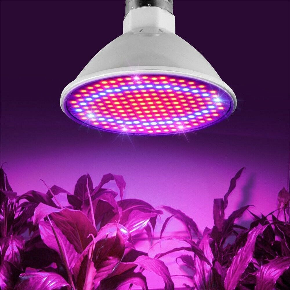 200 LED E27 Plant Grow Light lamp flower seeds Growing Lights Bulbs Indoor US F2 