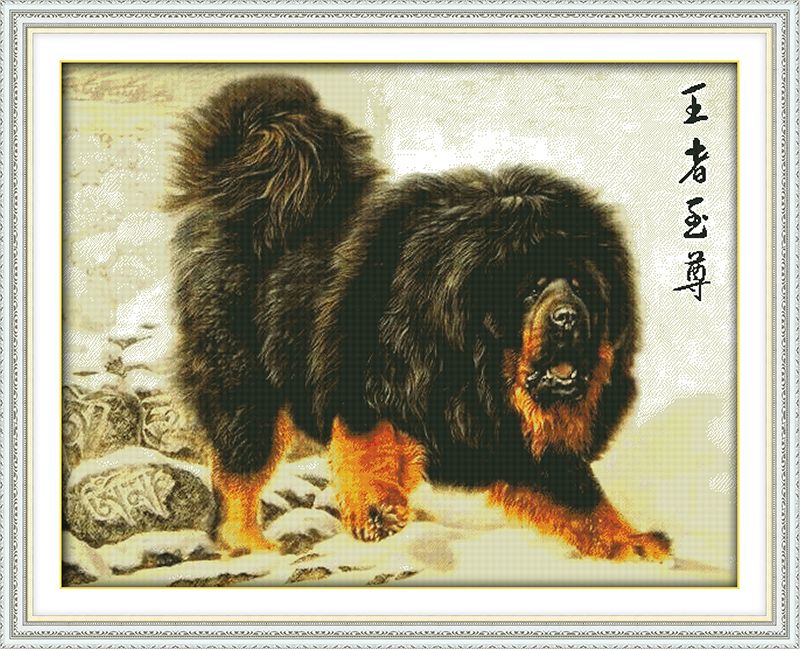 Картины тибетский мастиф