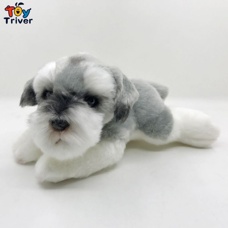 plush schnauzer dog