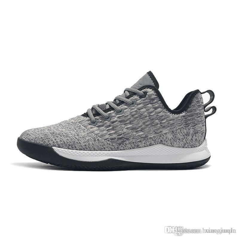 lebron shoes gray