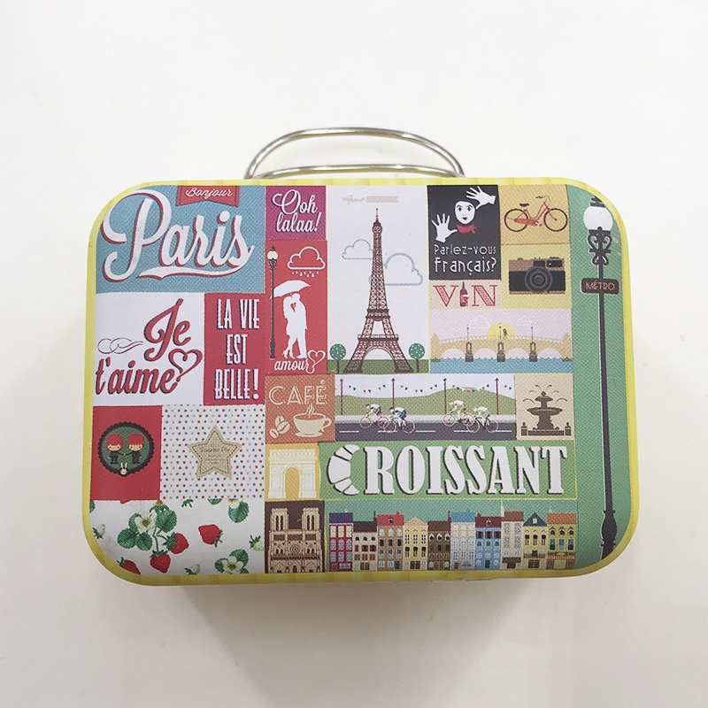 Suitcase Luggage Eyelash Box7