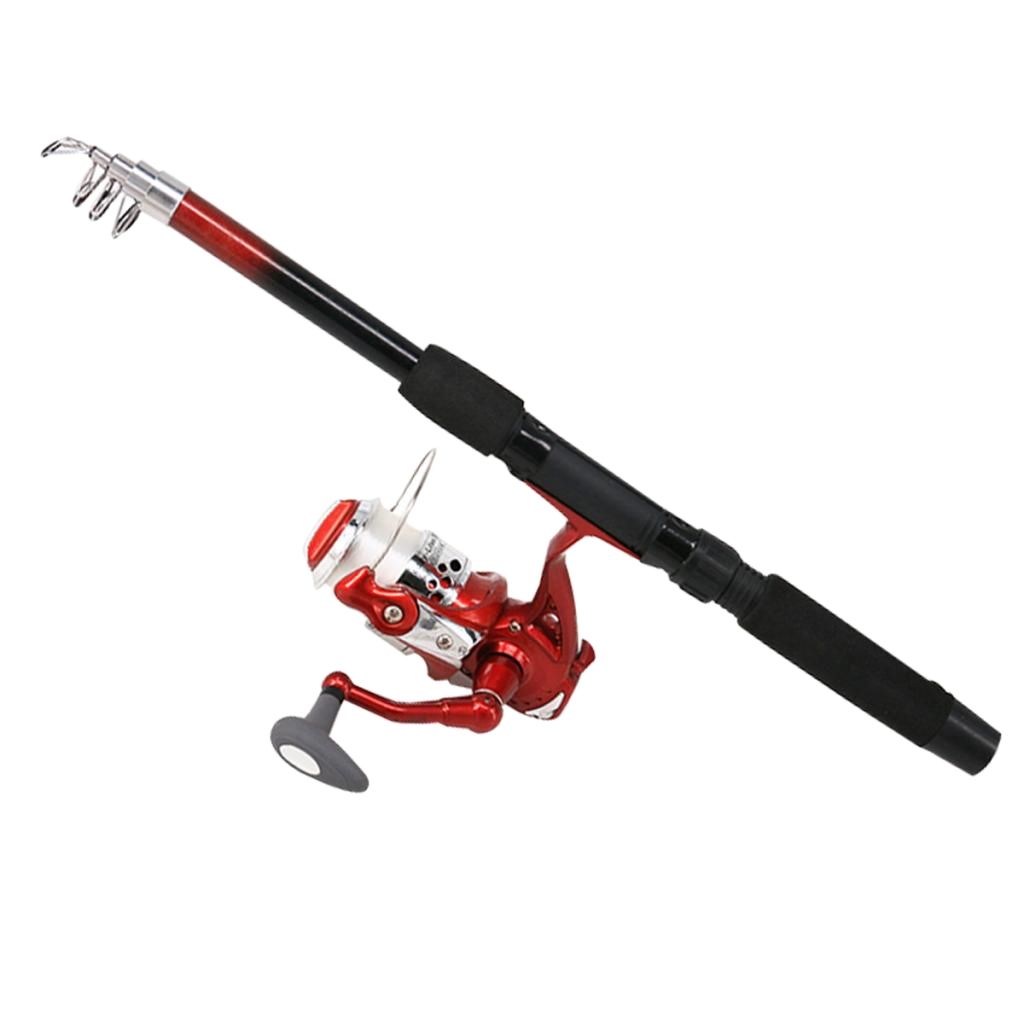 carp rod and reel combo x3