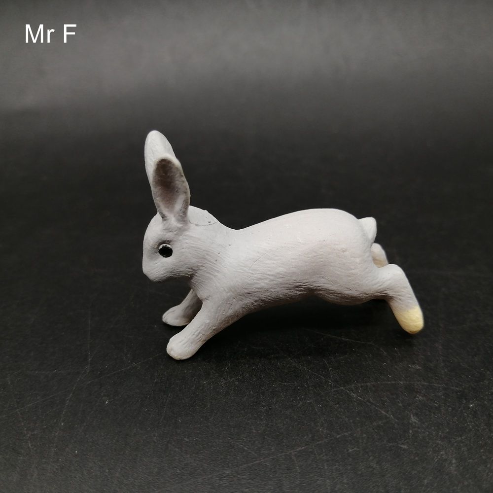 running rabbit store