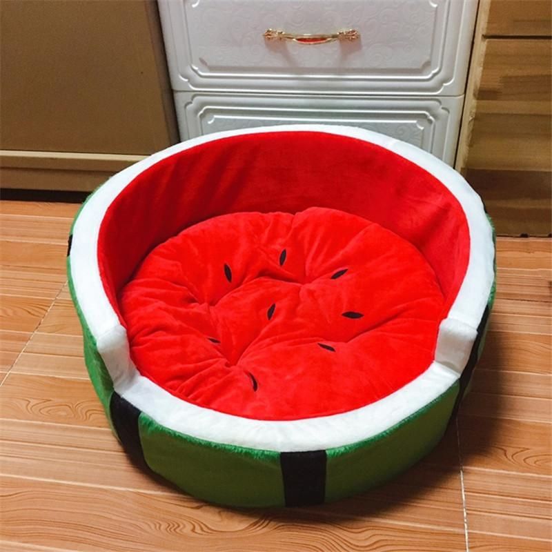 cheap medium dog beds