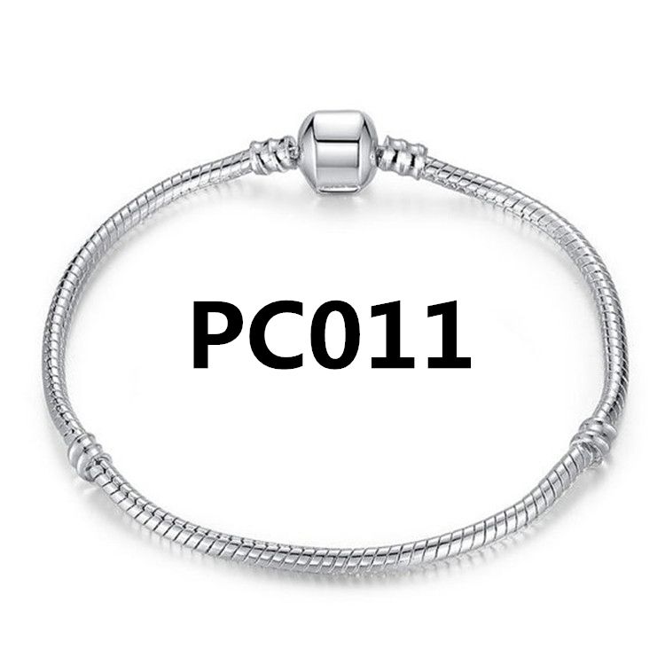 PC011