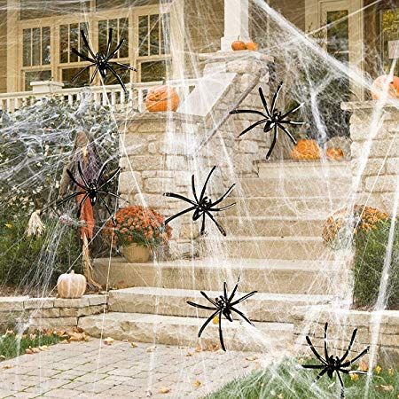 spider web for sale