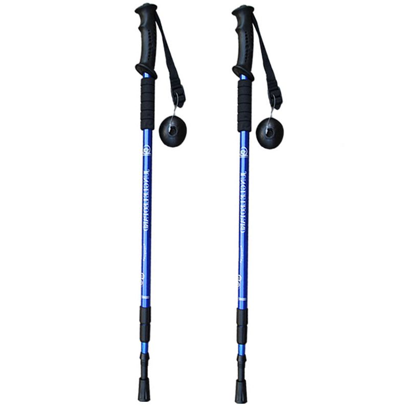 scandinavian walking sticks