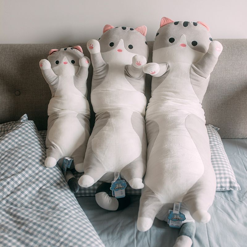 Um Gato Com Gatinhos Fofos, Travesseiros Macios E Acessórios Para