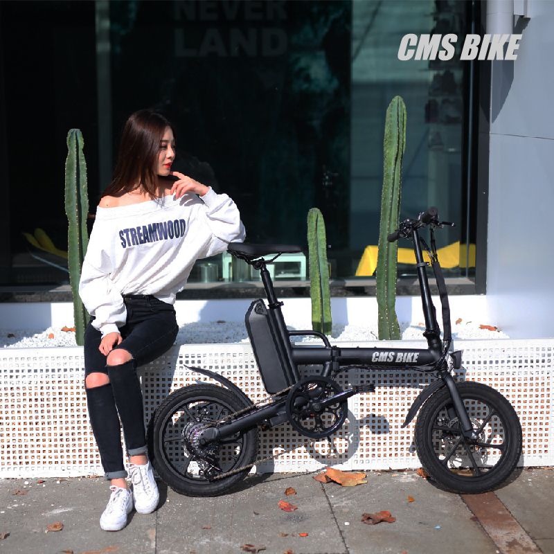 electric bike cheap price