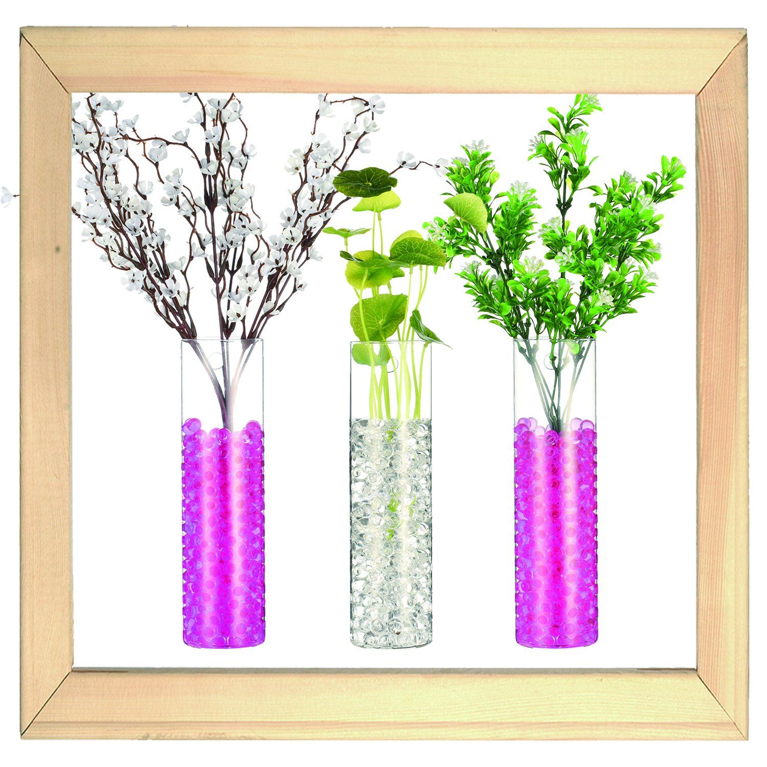 Set Of 3 Glass Tube 2 3 X 8 3 Cylindrical Glass Terrariums Indoor
