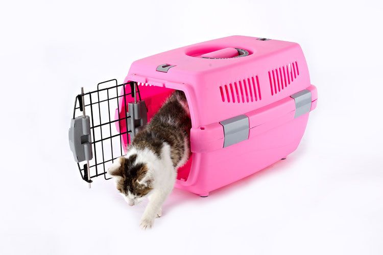 multi pet carrier