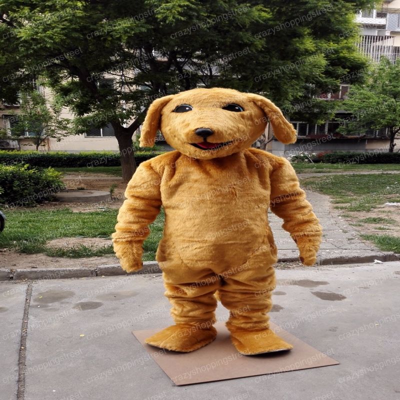 labrador costume