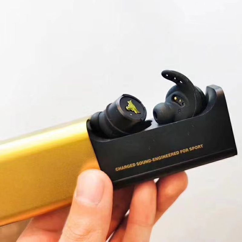 project rock true wireless earbuds
