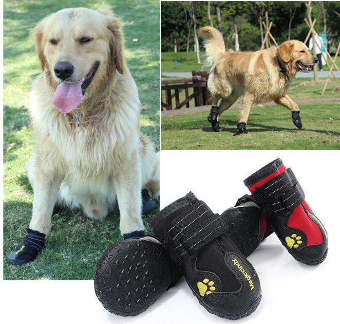 anti slip shoes for dogs