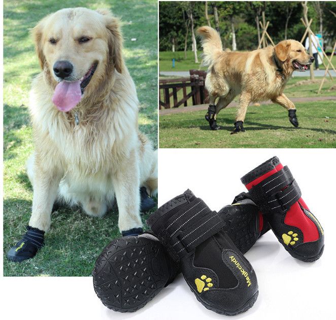 dog rain shoes