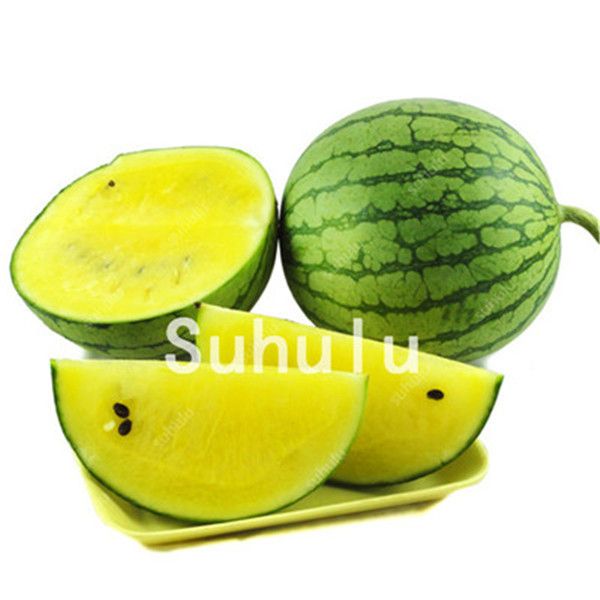 50 Pc Bonsai Watermelon F1 Hybrid Mallika Fruit seeds Home Garden plant 