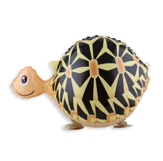черепаха ZL023