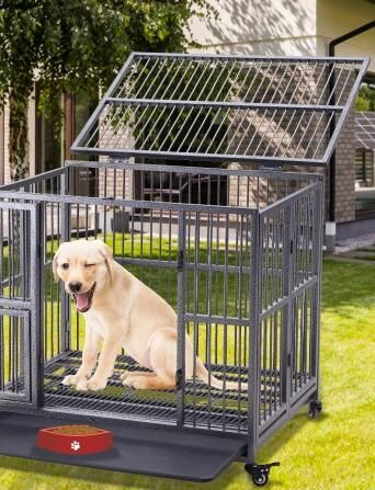 pet kennel crate