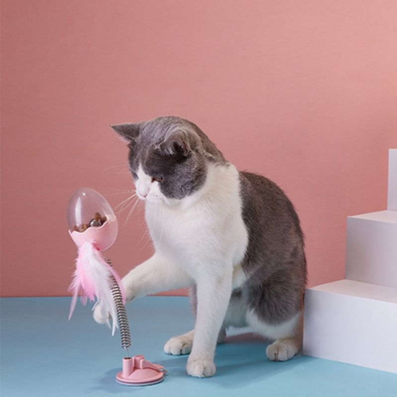 interactive feeder for cats