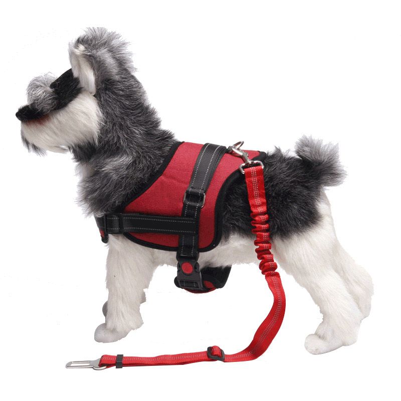 no slip dog harness