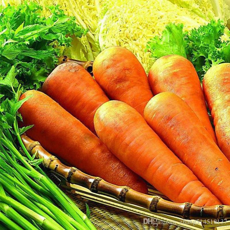 Какую почву любит морковь. Морковь Микуловская. Морковь посевная. Картинка морковь растет. Картинки овощи в августе на рабочий стол.
