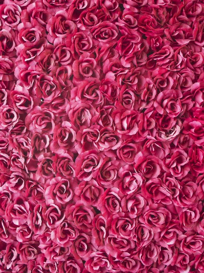 7x5ft Fondo de Pared de Flores Fondo de Fotograf/ía de Vinilo Tel/ón de Fondo Rosa Decoraci/ón de Boda Amantes Cumplea/ños Reci/én Nacidos Nupcial Flor Pared Fondo Foto Prop para Estudio Fotogr/áfico