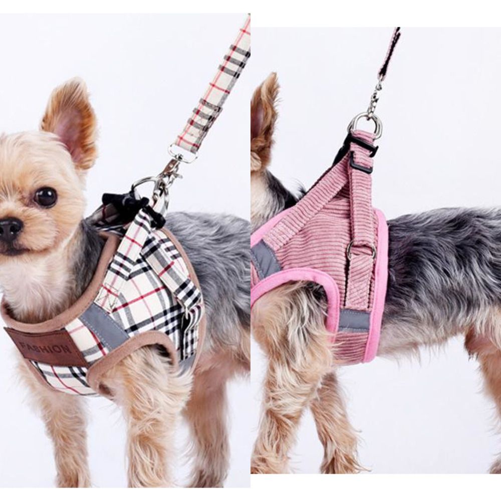 cute puppy collars and leashes