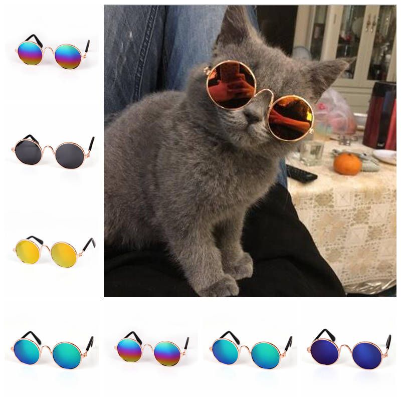 Kediler Için Gözlük