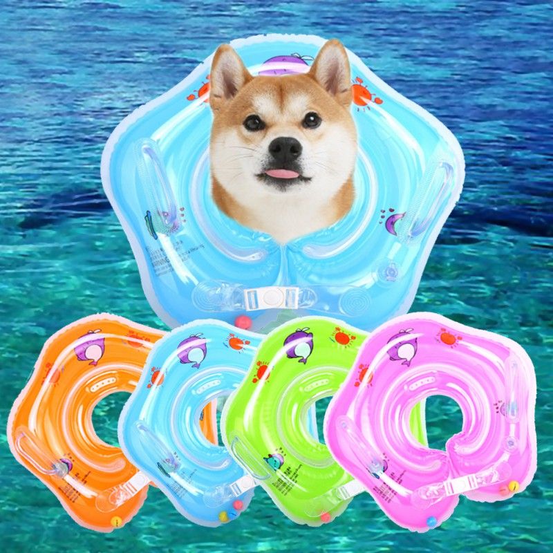 dog pool toys