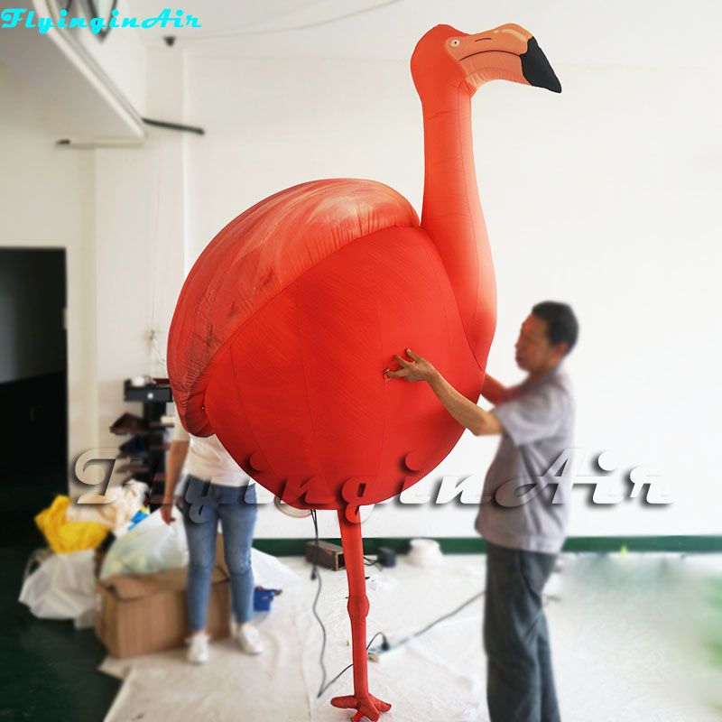 2,7 m (h) Flamingo