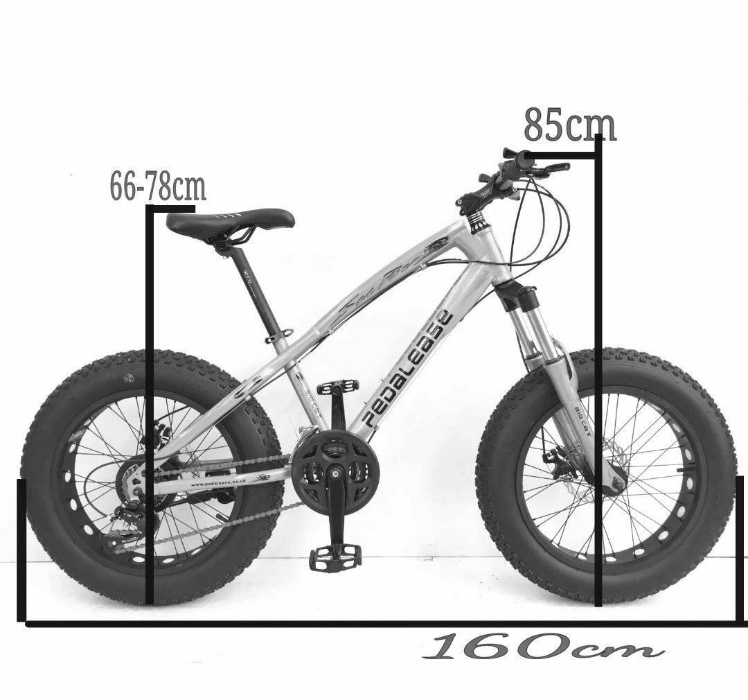 pedalease electric fat bike