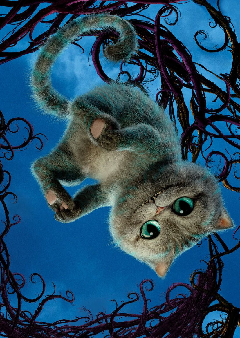 2021 Alice In Wonderland Cheshire Cat Art Silk Print Poster 24x36inch60x90cm 015 From Chuy8988 10 93 Dhgate Com
