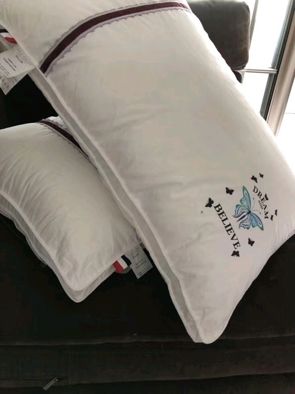 Two Pieces Set Hotel Home White Pillows Size 58x74cm Embroidery