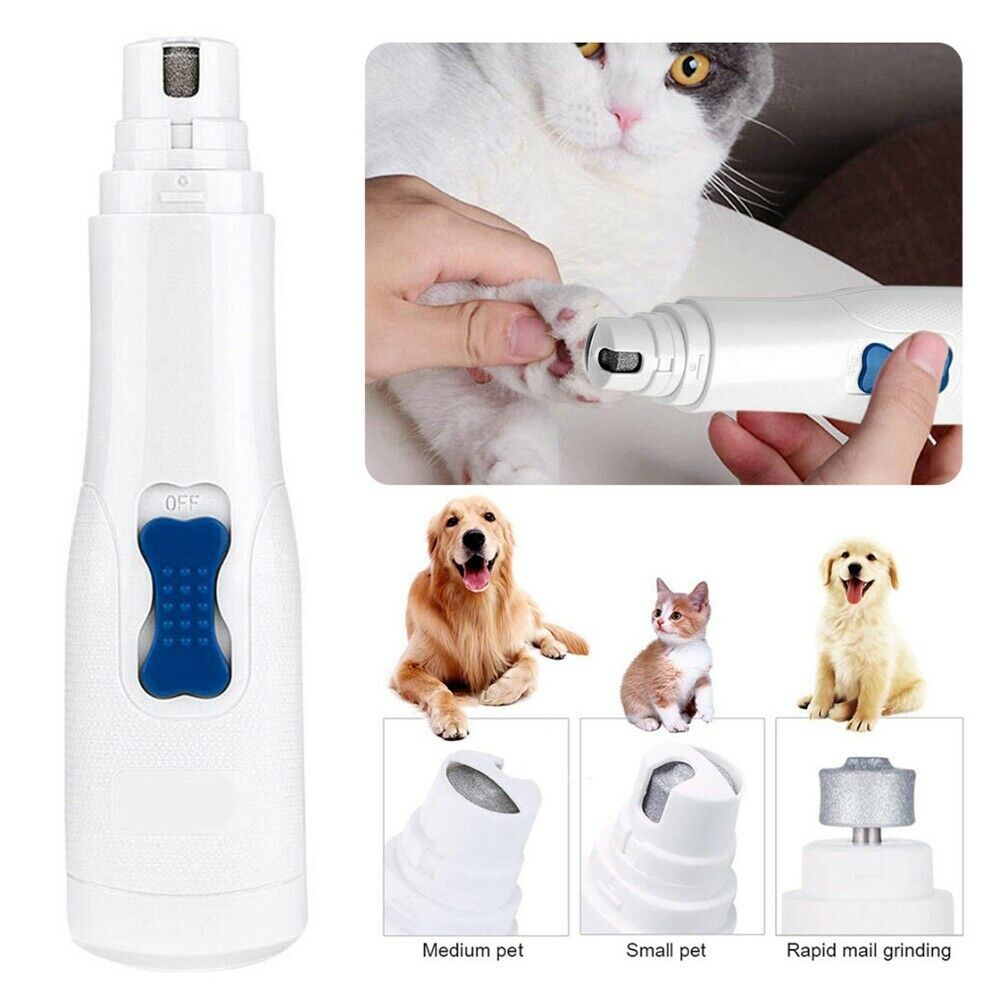 cat nail grooming