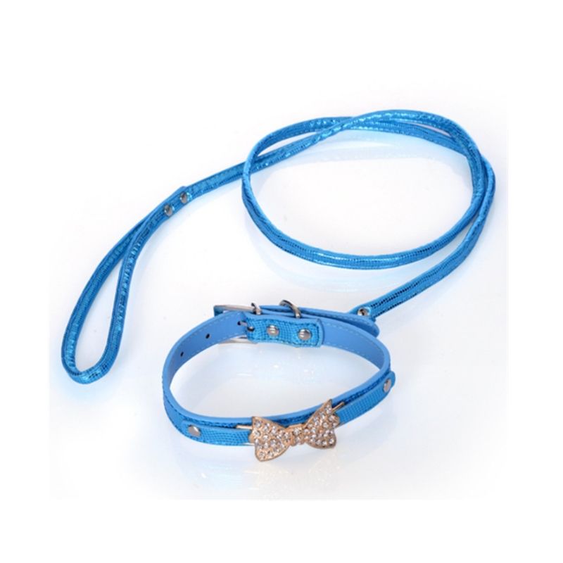 boy puppy collars