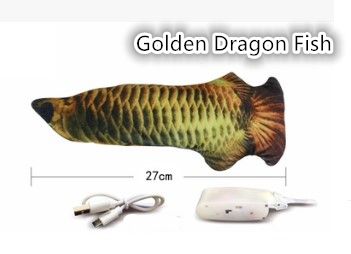 Golden Dragon Fish