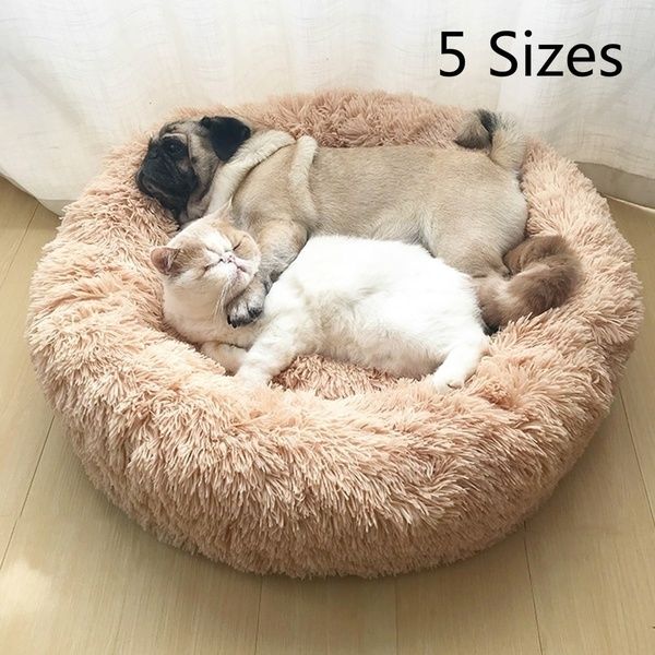 round plush dog bed