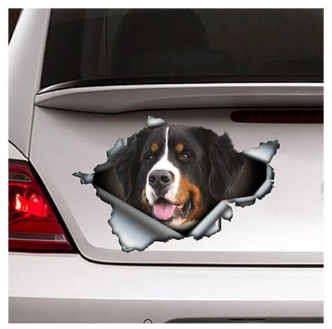 Auto pegatinas reflective euroasiáticos-zarpas camino perros by siviwonder reflex