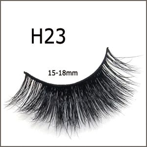 H23