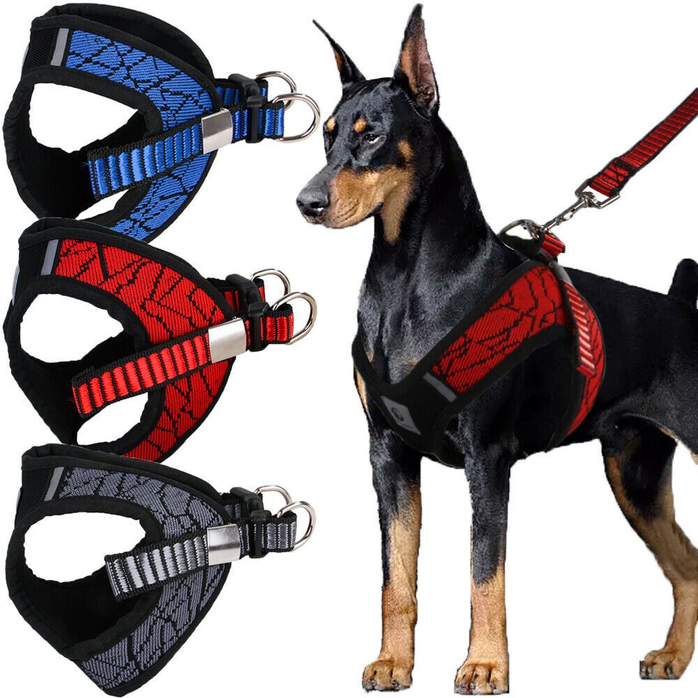 dog training harness no pull